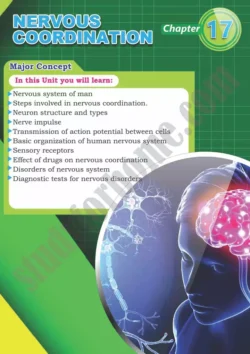 chapter-17-nervous-coordination-biology-12th-text-book