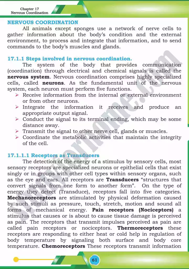 chapter 17 nervous coordination biology 12th text book 02