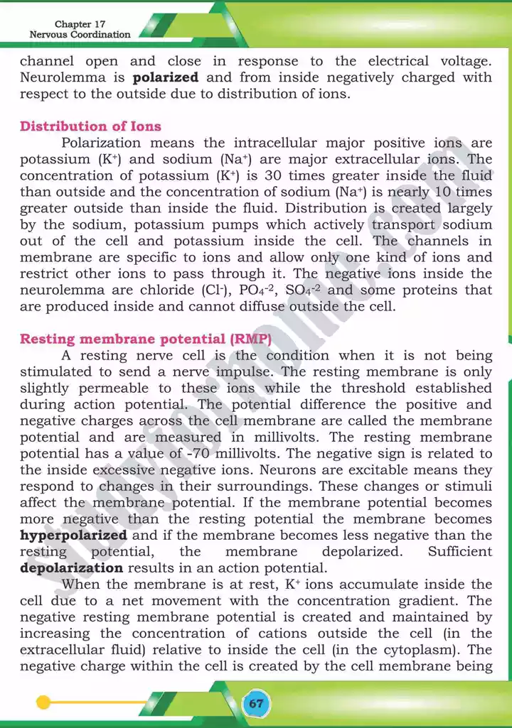 chapter 17 nervous coordination biology 12th text book 08