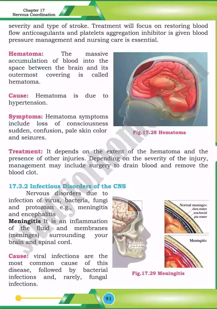 chapter 17 nervous coordination biology 12th text book 32