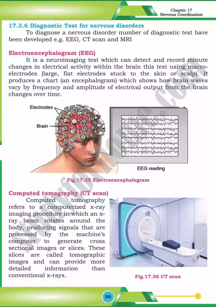 chapter 17 nervous coordination biology 12th text book 37