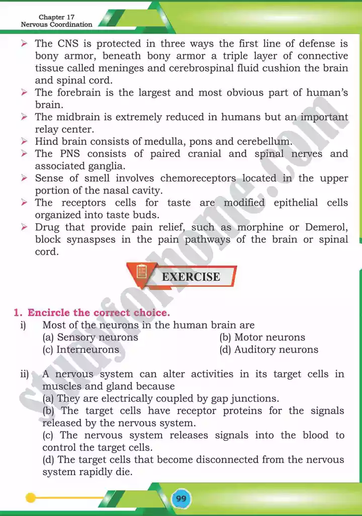 chapter 17 nervous coordination biology 12th text book 40
