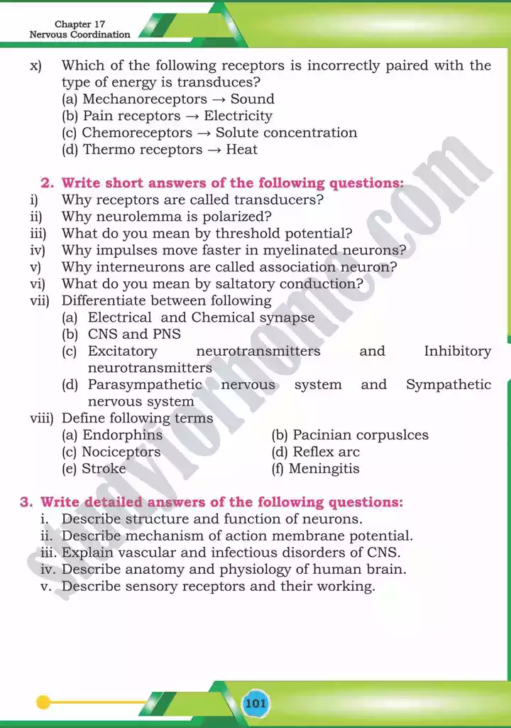 chapter 17 nervous coordination biology 12th text book 42
