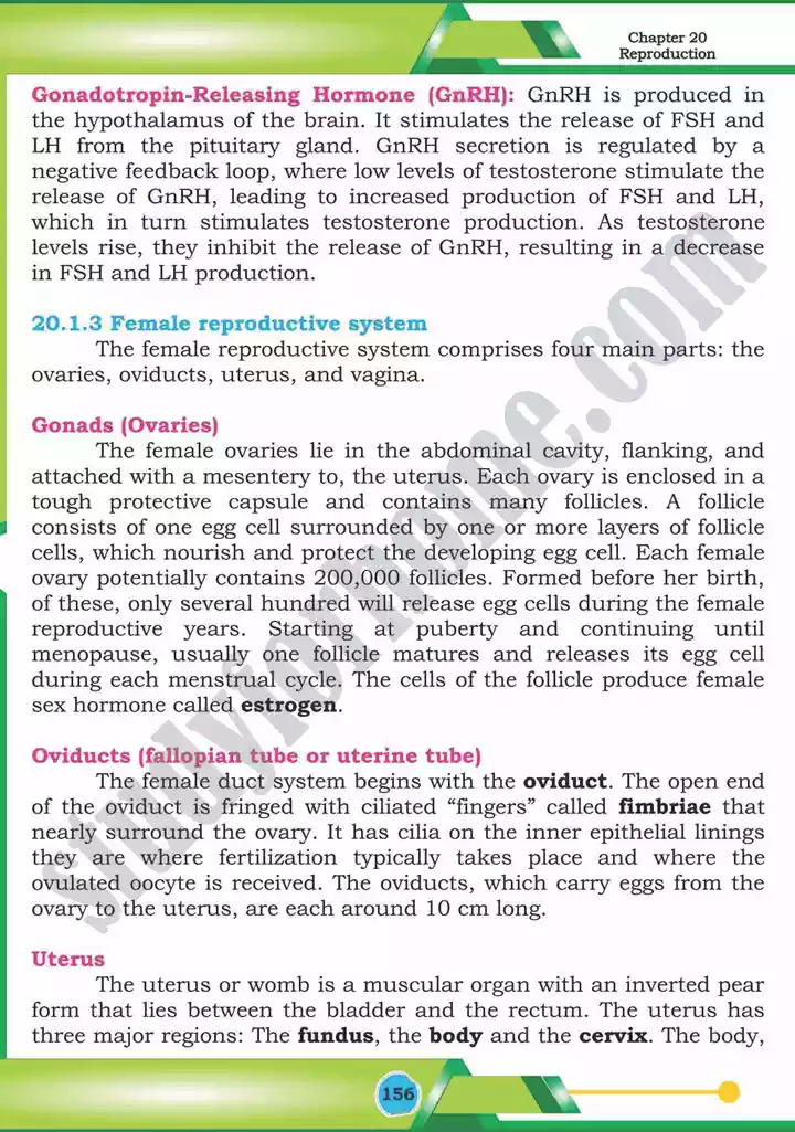 chapter 20 reproduction biology 12th text book 08