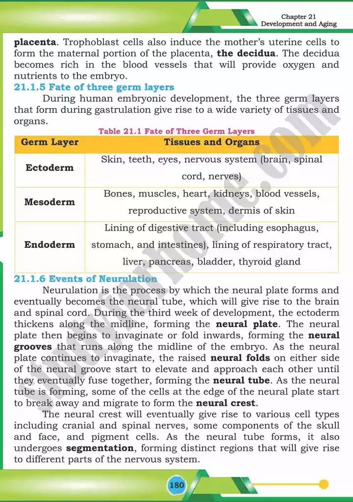 chapter 21 development and aging biology 12th text book 07