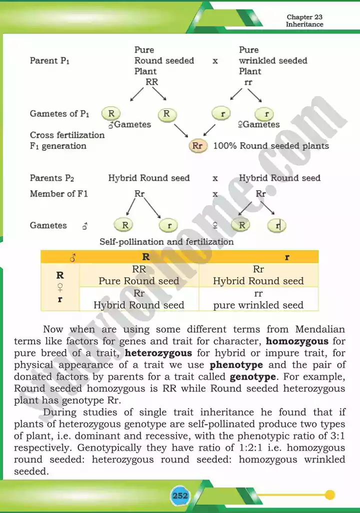 chapter 23 inheritance biology 12th text book 05