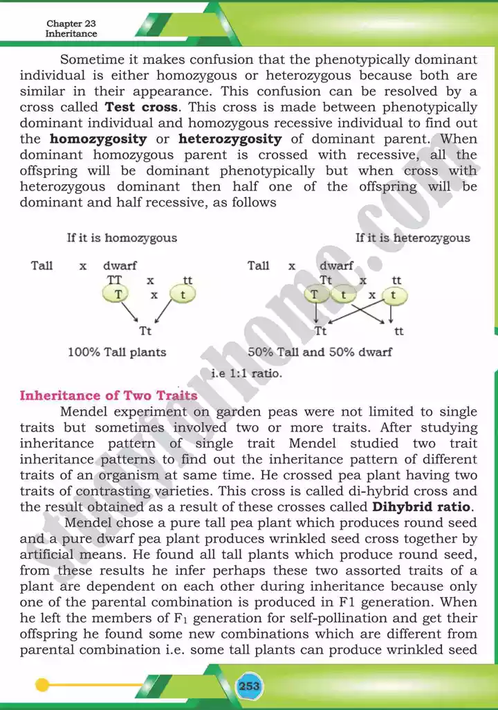 chapter 23 inheritance biology 12th text book 06