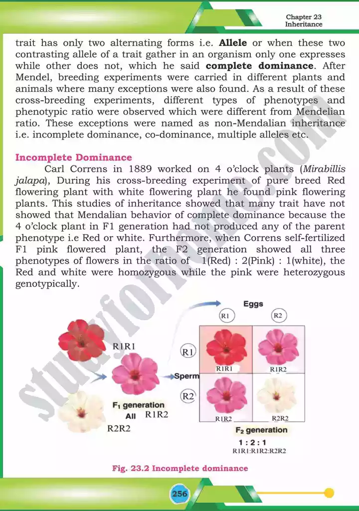chapter 23 inheritance biology 12th text book 09