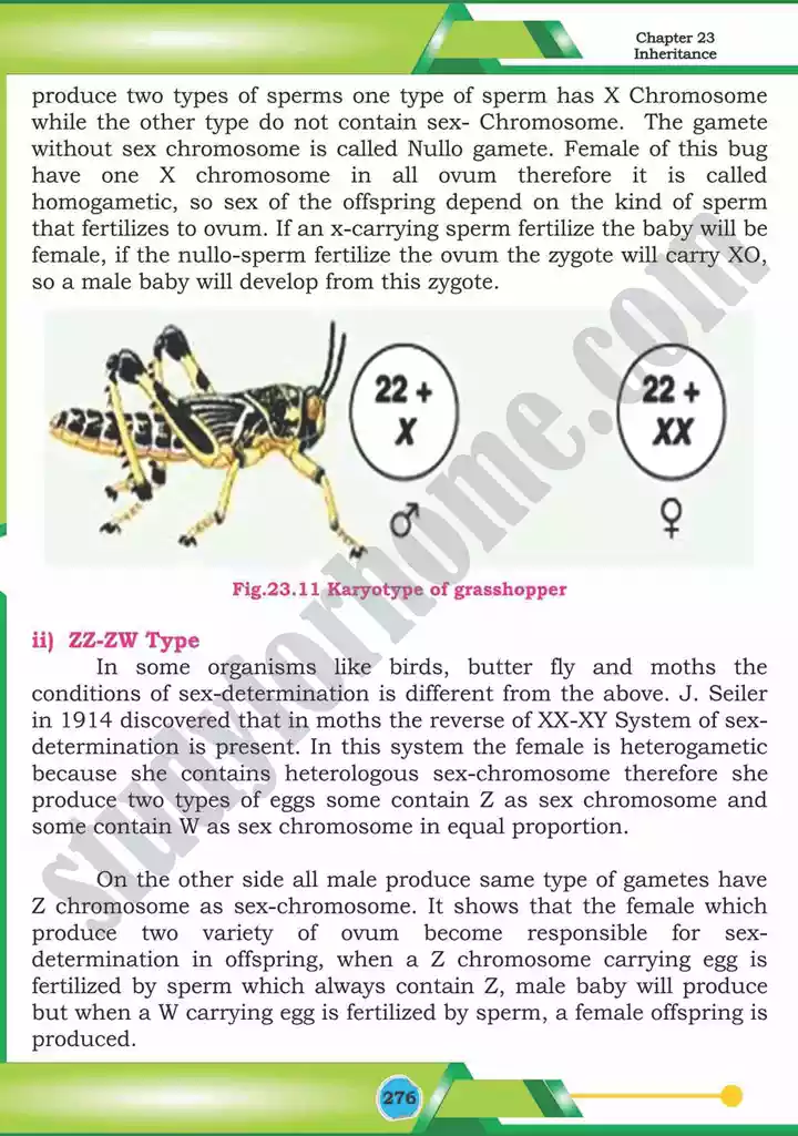 chapter 23 inheritance biology 12th text book 29