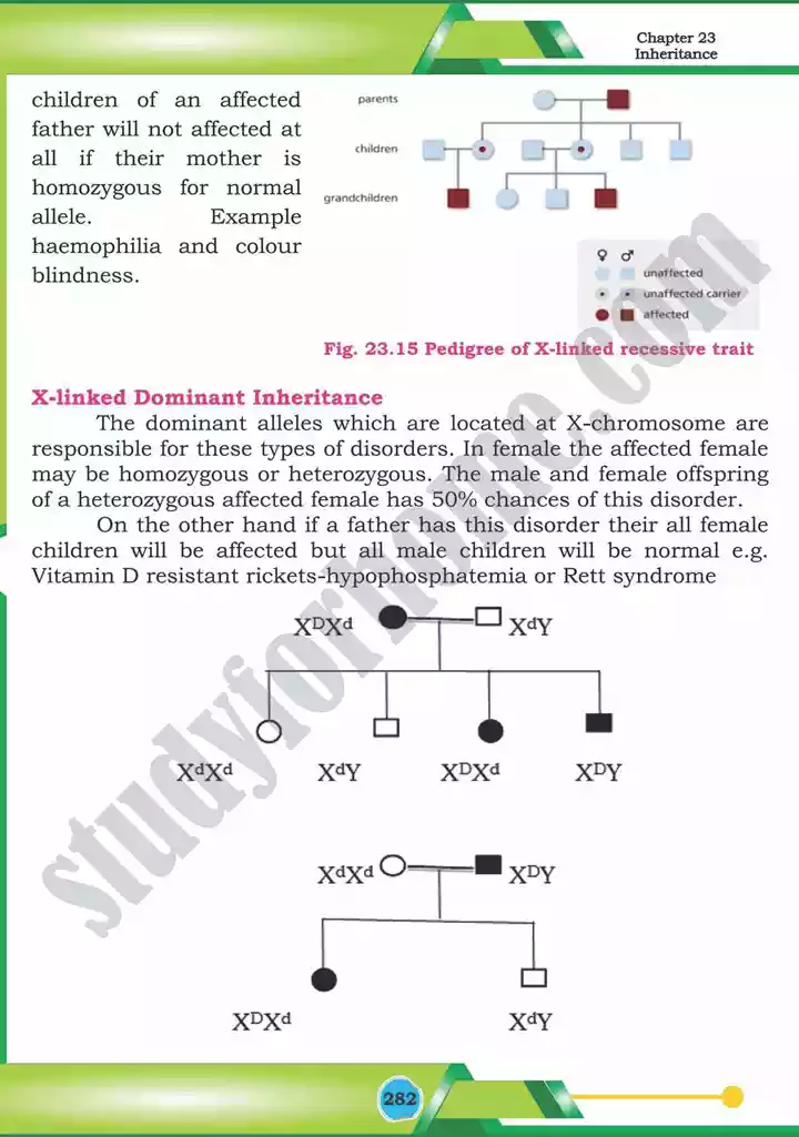 chapter 23 inheritance biology 12th text book 35