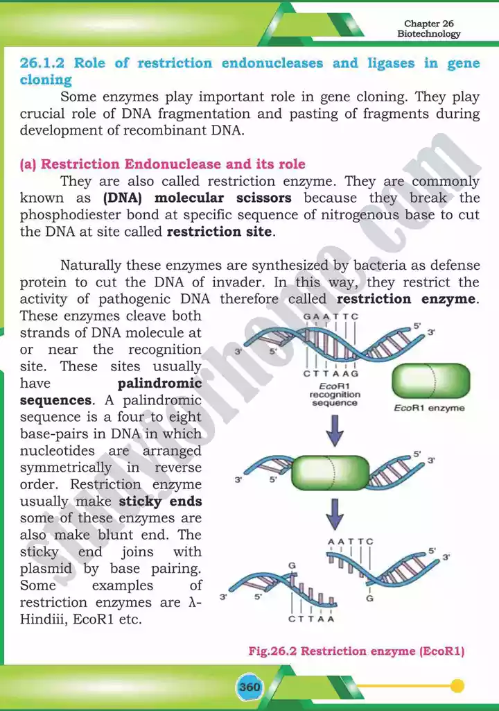 chapter 26 biotechnology biology 12th text book 05