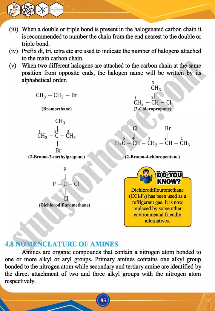 chapter 4 nomenclature of organic compounds chemistry 12th text book 10