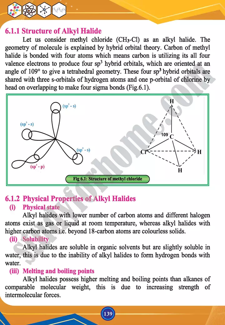 chapter 6 alkyl halides and amines chemistry 12th text book 03