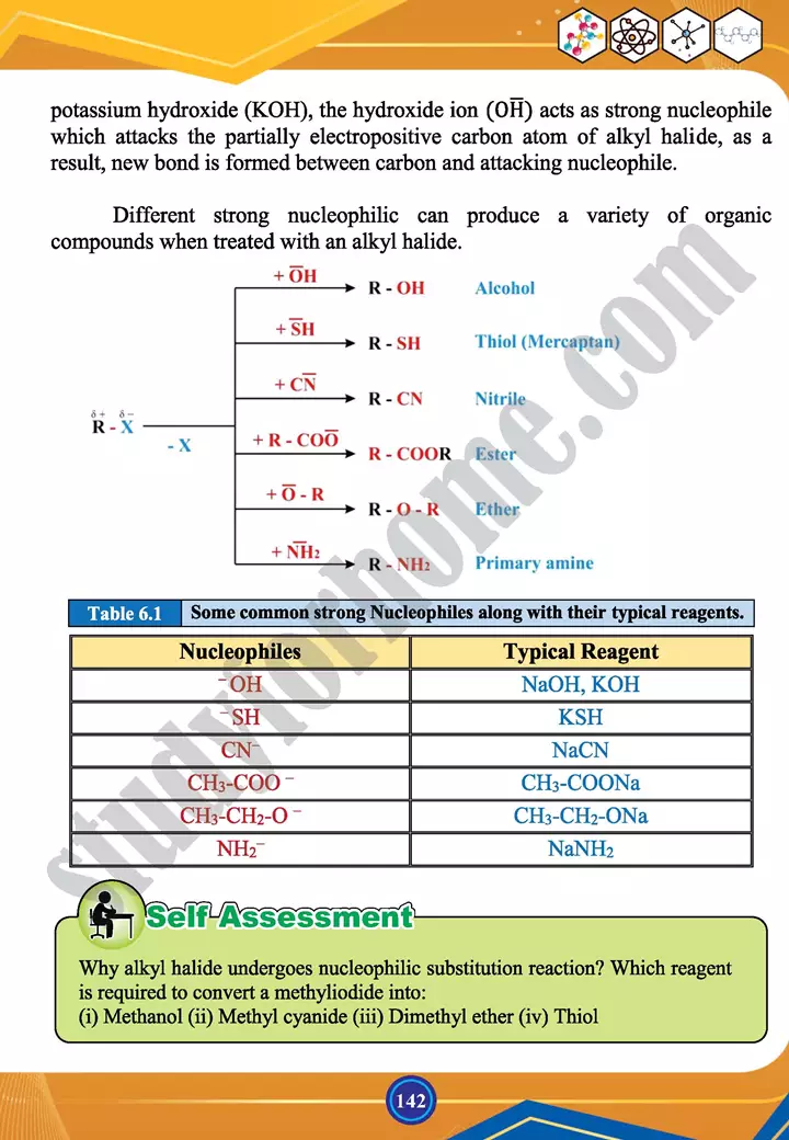 chapter 6 alkyl halides and amines chemistry 12th text book 06