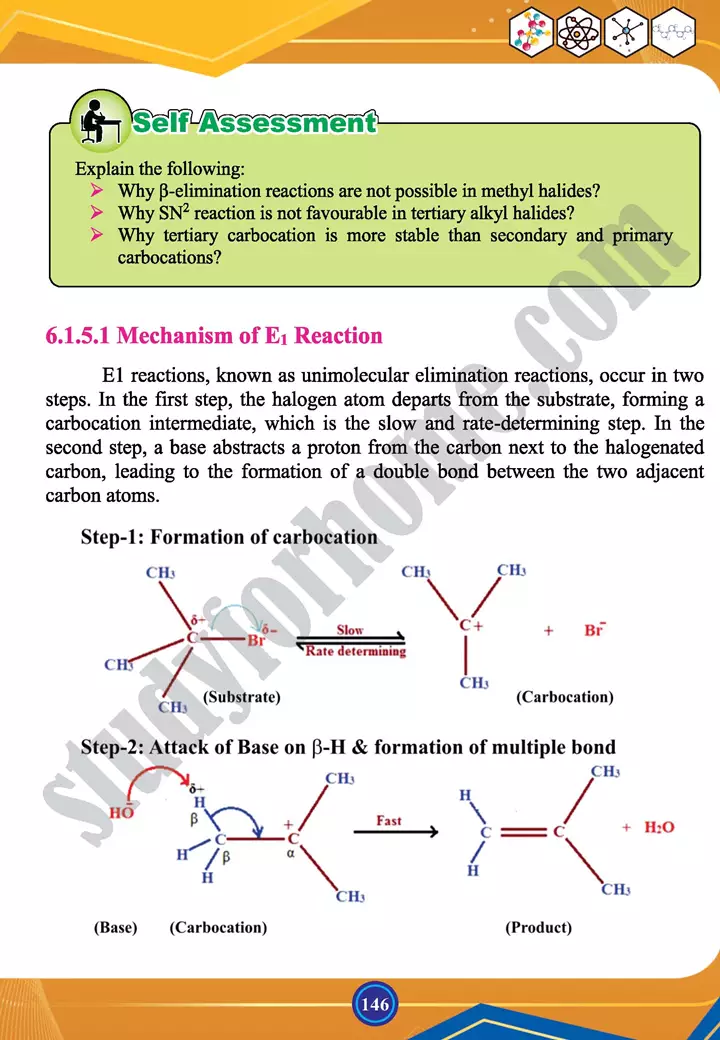 chapter 6 alkyl halides and amines chemistry 12th text book 10