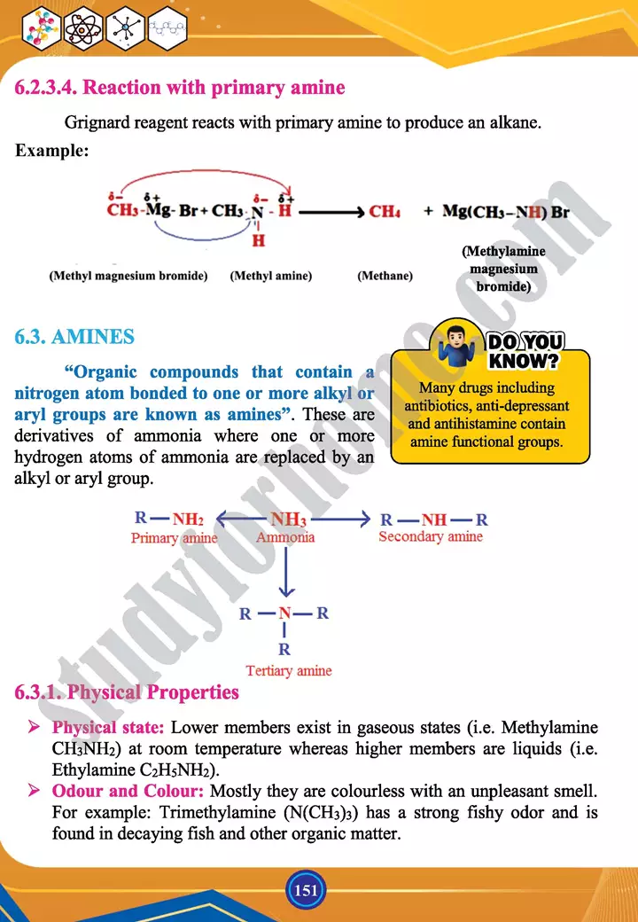 chapter 6 alkyl halides and amines chemistry 12th text book 15