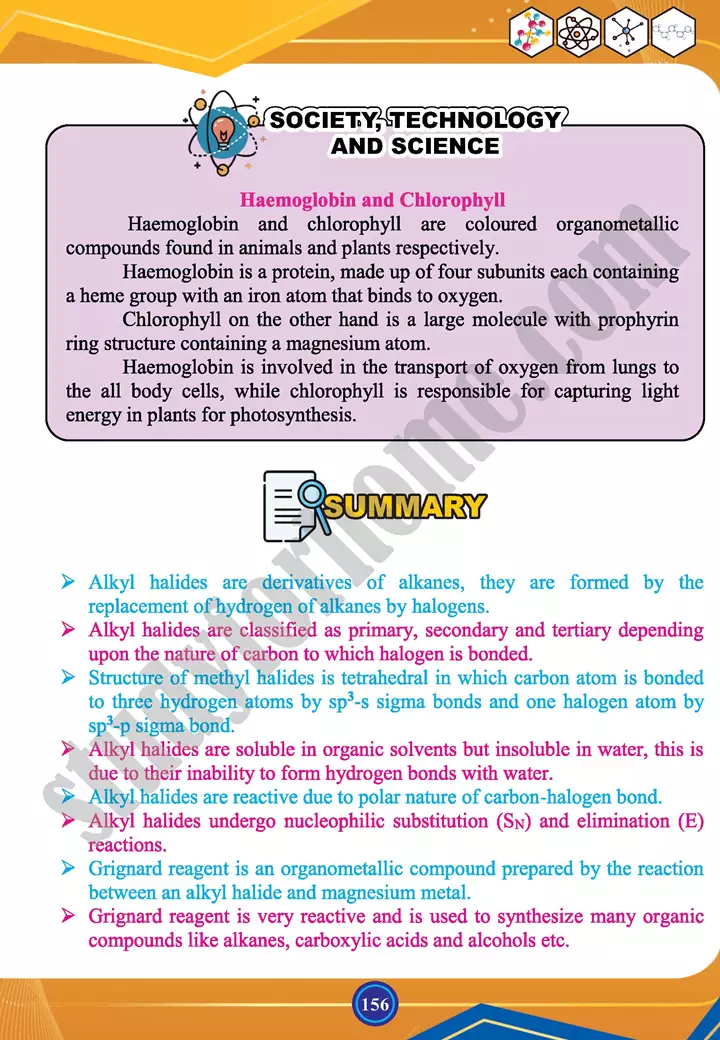 chapter 6 alkyl halides and amines chemistry 12th text book 20