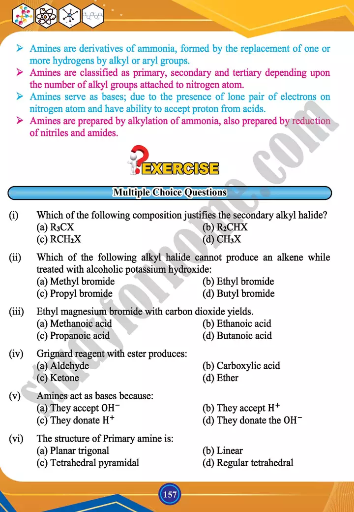 chapter 6 alkyl halides and amines chemistry 12th text book 21