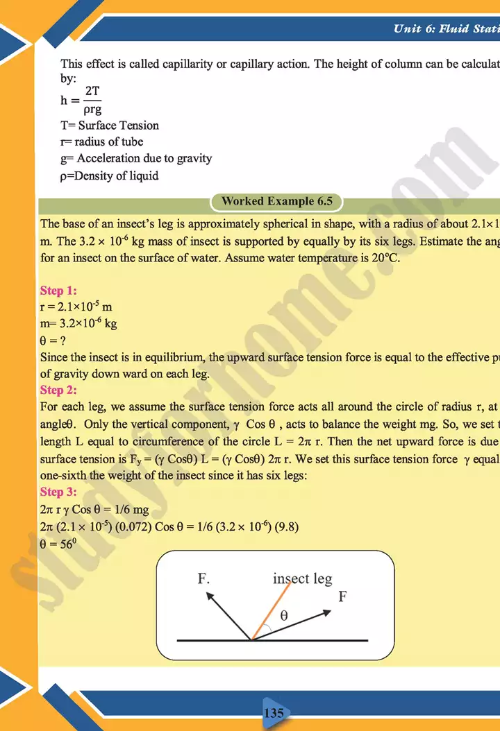 chapter 6 fluid statics physics 11th text book 14