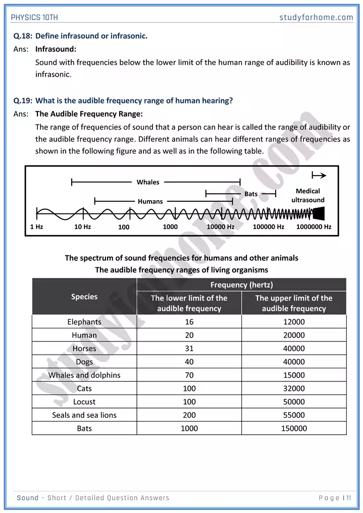 chapter 11 sound short and detailed question answers physics 10th 11