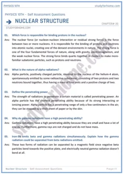 chapter-20-nuclear-structure-self-assessment-questions-physics-10th-01