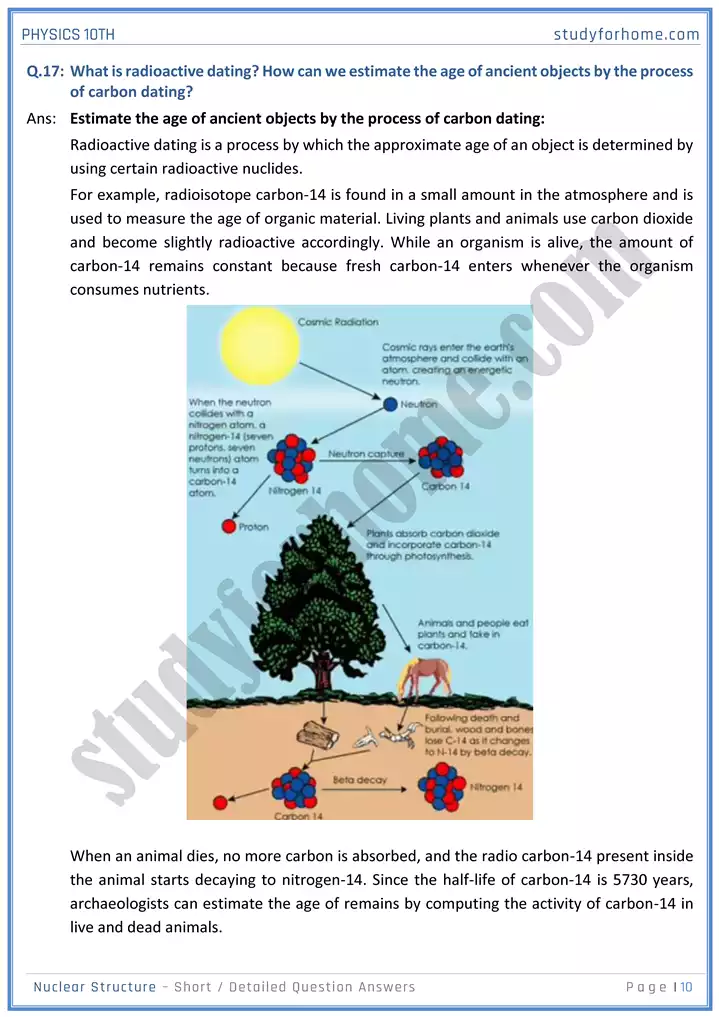 chapter 20 nuclear structure short and detailed question answers physics 10th 10