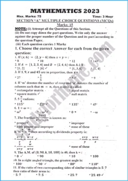 mathematics-past-year-paper-2023