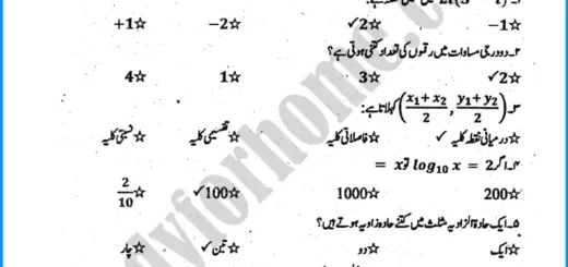 mathematics-urdu-9th-past-year-paper-2022
