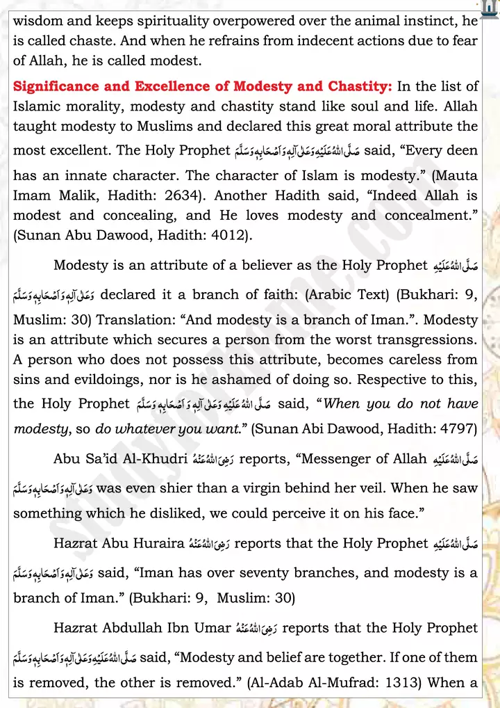 chap 3o modesty islamiat 9th 02