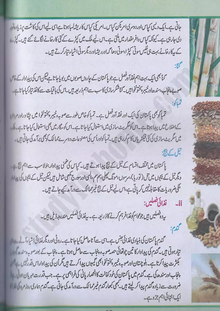 chap 5 pakistan kay wasail pakistan studies 10th 12