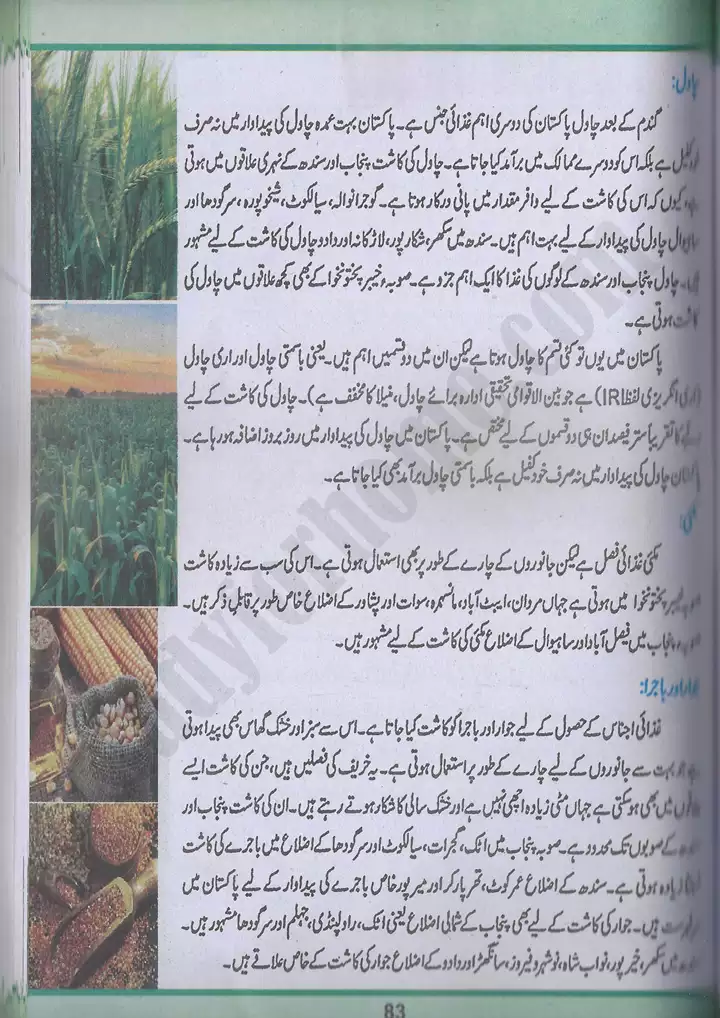 chap 5 pakistan kay wasail pakistan studies 10th 13