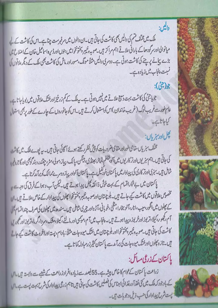 chap 5 pakistan kay wasail pakistan studies 10th 14