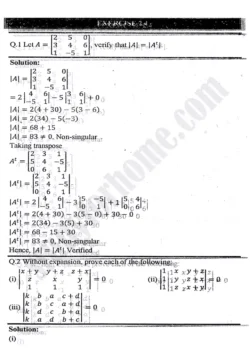 chapter-2-matrices-and-determinants-exercise-2.4-mathematics-11th