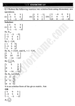 chapter-2-matrices-and-determinants-exercise-2.5-mathematics-11th