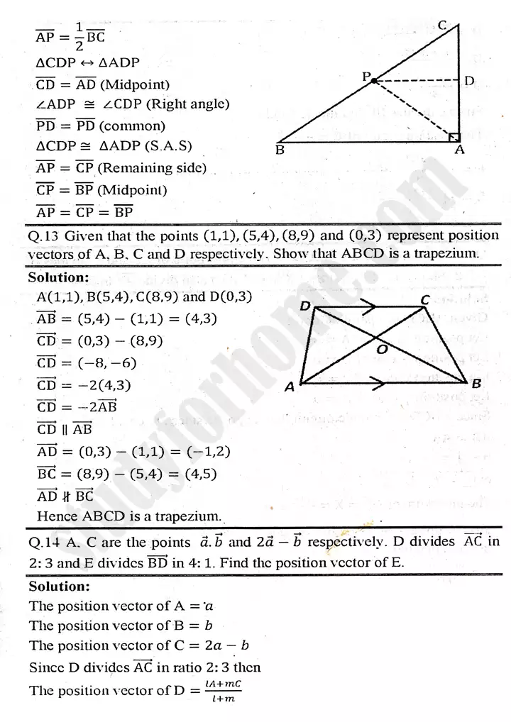 chapter 3 vectors exercise 3.1 mathematics 11th 11