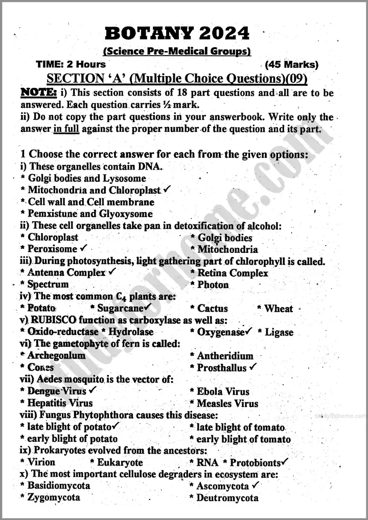 botany-past-year-paper-2024-for-class-11th