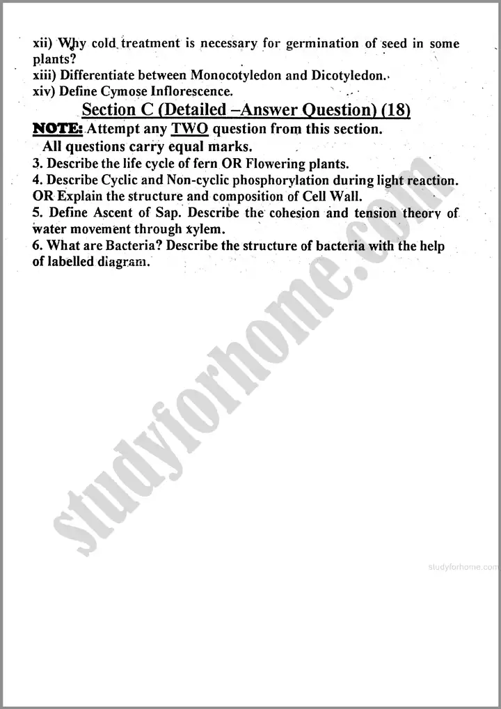 botany past year paper 2024 for class 11th 3