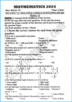 mathematics-past-year-paper-2024-for-class-10th