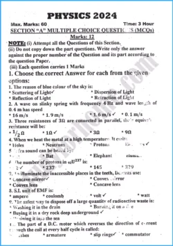 physics-past-year-paper-2024-for-class-10th