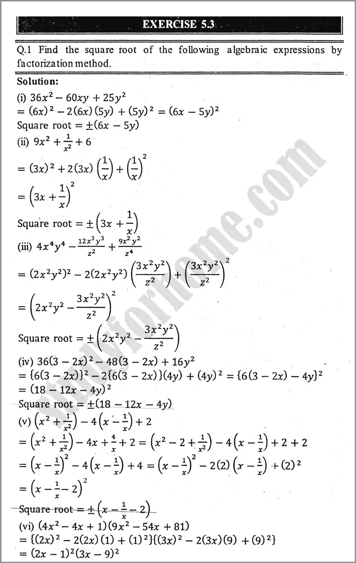 algebraic-manipulation-exercise-5-3-mathematics-class-9th