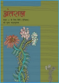 antral-hindi-medium-hindi-ncert-text-books-for-class-11th