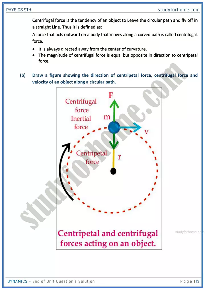 dynamics end of unit questions solution physics class 9th 13