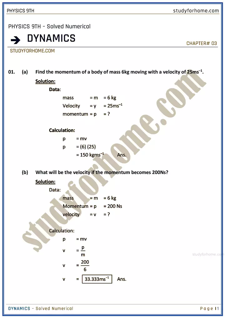 dynamics solved numerical physics class 9th 01