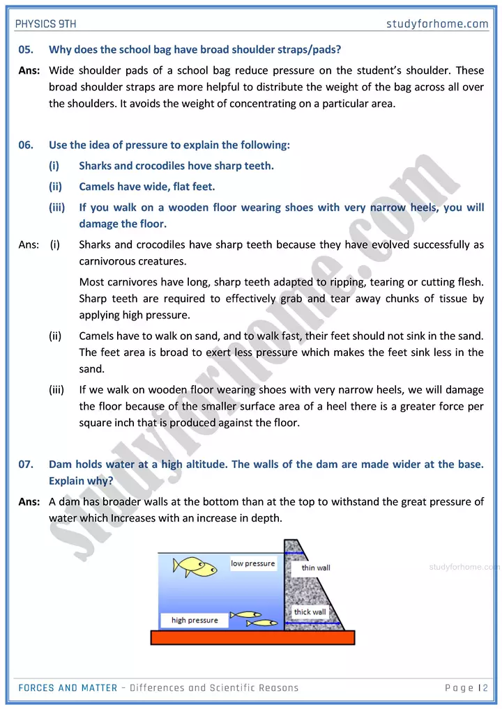 forces and matter differences and scientific reasons physics class 9th 02