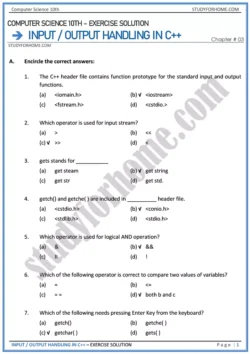 input-output-handling-in-c++-solution-of-book-exercise-computer-science-class-10th