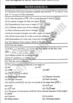 introduction-to-coordinate-geometry-review-exercise-16-mathematics-class-9th