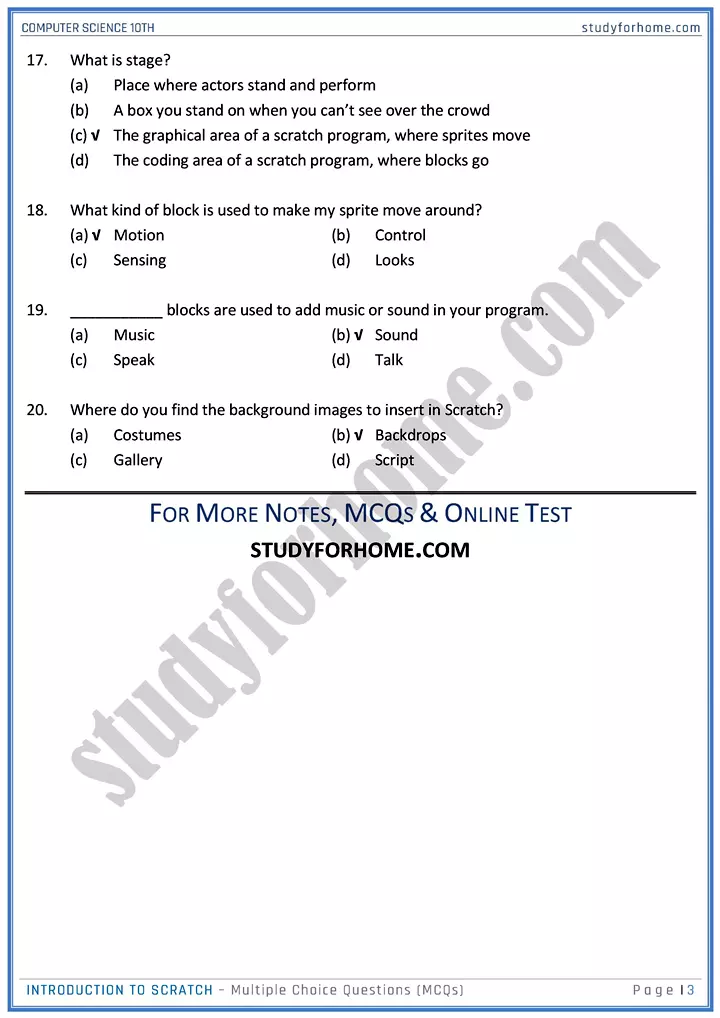 introduction to scratch multiple choice questions computer science class 10th 03