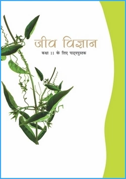 jeev-vigyan-hindi-medium-biology-ncert-text-books-for-class-11th