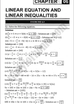 linear-equation-and-inequalities-exercise-6-1-mathematics-class-9th