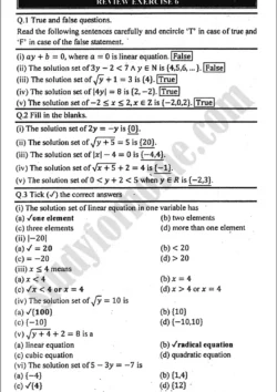 linear-equation-and-inequalities-review-exercise-6-mathematics-class-9th